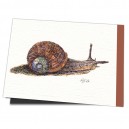 D4-171 / Sunny Sultan