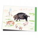 R46-022 / Rana Bonita