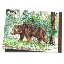 D4-239 / Balu im Bärenwald