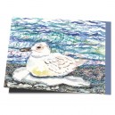 R06-086 / Junge, zutrauliche Möwe