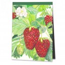 D2-040 / Erdbeeren