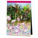 R21-025 / Frankreich - Flamingos im Vogelpark 'Pont de Gau'