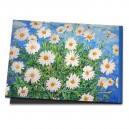 Ein lieber Gruß für Dich