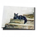 Katze auf der Treppe