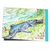 Alligator sonnt