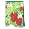 D2-040 / Erdbeeren